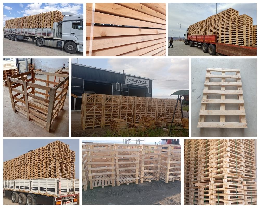 Gurnard Wooden Pallets, Buy Wooden Pallets Wholesale